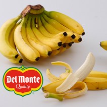 마이밀 마시는 뉴프로틴 로우슈거 바나나맛, 190ml, 64개