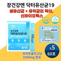 장 건강 앤 생 유산균 프로바이오틱 장까지 살아가는 락토바실러스 루테리 가세리 플란타 김치유산균 아연 신바이오스틱 장비우기 식약처인증 장건강앤닥터유산균19, 60포 5개