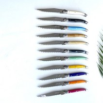 예반 장네론 라귀올 조각 디너나이프 / 11 color, 프렌치블루