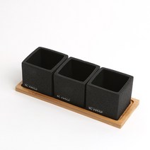 엘로시오 선인장 다육이 미니 화분 3개 세트, 엘로시오 미니화분 3개입/1세트