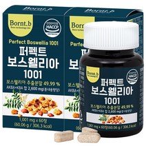 본트비 퍼펙트 보스웰리아, 2박스, 1001mgx60정