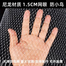 참새 비둘기 침입방지 그물 울타리 야외 텃밭 정원 과일나무 접근금지용 나일론 흰색 야생동물 피해보호, 폭 10m [구멍 1.75cm] 길이 약 3.7m