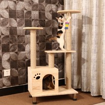 프리미엄 원목 캣타워 DIY 투명 숨숨집, A형개