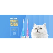 원헬스 고양이전용 초소형 칫솔 치약 입냄새 치주염 치아관리, 반려동물 칫솔(중형)