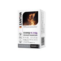 프리미엄마그네슘 400mg 캡슐 마그네슘영양제 마그내슘 400, 60정 x 1통