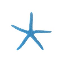 어항 가구 장식 소품 수지 공예 수족관 조경 산호 불가사리, [05] D2