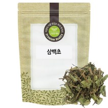 삼백초 잎 200g 국산 국내산, 단품