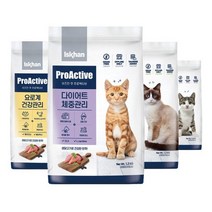 이즈칸캣 프로액티브 어덜트 다이어트 요로계 키튼 1.2kg 고양이사료