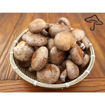 아라표고버섯 생 표고버섯, 1개, 5kg