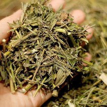 자연산 국내산야관문 야관문환 야관문환, 덖은야관문 600g, 1개