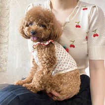 루페루페 강아지 프릴 체리 나시티 개플룩 커플 옷 XS-XL, 아이보리