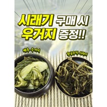 황금 무청 시래기&배추 우거지, 시래기 4팩+우거지 1팩 증정