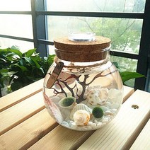 테라리움 화분 LED볼단지 1300ml/마리모 조명 유리병, 1개