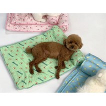 펫타임 강아지 고양이 소형견 중형견 개모차 켄넬 시원한 여름 쿨링 쿠션 쿨매트 쿨방석, 복숭아