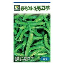 방울 하늘 참외 10립 - 씨 씨앗 참외씨앗 참외씨 방울참외 하늘참외 채소씨 채소씨앗, 03_다농_동명 꽈리풋고추(50립)