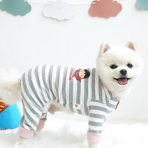 슈퍼맨 강아지옷 올인원 애견의류 예쁜강아지옷, S