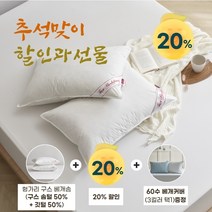 [KT알파쇼핑]프라우덴 헝가리산 구스 베개솜(솜털50%)+60수 베개커버선물 - 800g, 블루