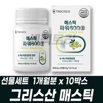 그리스매스틱 매스틱검 MASTIC 감초 양배추 브로콜리, 1개