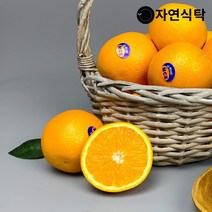 [자연식탁]고당도 네이블 오렌지 10과 중과(개당 200g내외), 단품