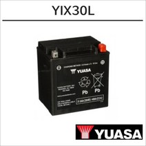 -16 로드킹 유아사배터리 YIX30L