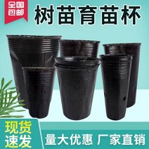 묘목 컵 비닐포트 영양 그릇 플라스틱 특수 모양의 모종 냄비 얇은 고영양 가방 일회용, 5.1218 실제 1116 cm 4,000
