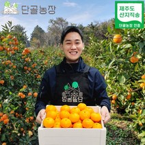 스테비아급 고당도 제주 조생 타이벡 유라실생 유라조생 불로초 감귤, 타이벡 노지감귤 4.5kg / 로얄과(S~M)