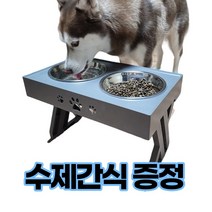 강아지밥그릇스텐 추천순위 TOP50을 확인하세요