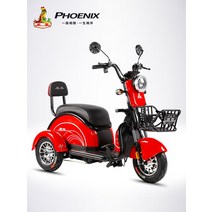 세발 오토바이 배터리 노약자 어린이픽업 가성비, 딱정벌레 48v20 납산 주문 연락처 고객 서