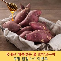 [1+1 증정] 국내산 해풍맞은 당진 고구마 꿀고구마 고구마5kg 고구마10kg 강아지고구마 고구마다이어트 냉동고구마 햇고구마 해남밤고구마 해남꿀고구마 군고구마 찐고구마 황토고구마, 세척 호박고구마(특상품), 5kg+5kg