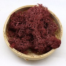 수족관 장식품 인테리어 소품 장식 100g 품질 인공 이끼 불멸의 녹색 식물 잔디 홈 벽 DIY 마이크로 풍경 액세서리, 06 black, 04 1000g