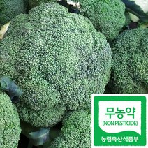 국산 친환경 무농약 브로콜리 (1통당 약300-350g), 1통 (약 300~350g)