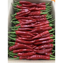 패밀리농산물 홍고추 국내산 [특품] 10kg 1박스 (건조용), 홍고추 [특품] 10kg