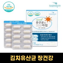 장건강 배변활동 김치유산균 락토바실러스 플랜타륨 프로바이오틱스 아연 셀렌 신바이오틱스 식물성 장용캡슐 3세트