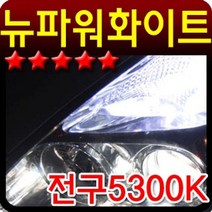 차량 야간 주행 안전 자동차 전조등 5300K 화이트, 오맛 881/880