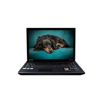 2023년 중고노트북 LG X-NOTE R560 (SSD120GB 윈10), LG X-NOTE R560 S530, 윈도우10, 4GB, 120GB, 코어2, 블랙화이트랜덤