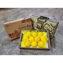 제수용 제주 황금향 감귤 2kg 3kg 5kg선물용 제주황금향, 가정용3kg(15과)