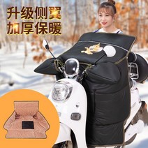 2륜바이크 전기 자전거 노인 전동스쿠터 세발 농업용전동차 부모님 아버지 로얄알로이 2발오토바이, 24V, 작은 측면 날개