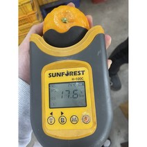 탐라인 신품종 설국향 수라향 신비향 아스미 아스키 전참시 콩포트 상품 5kg, 1박스