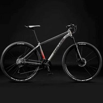 33단 하드테일 입문 용 29인치 전문 경량 가성비 고속, 33단 XC200 화이트 그레이 29인치