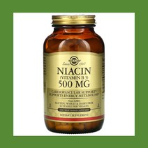 Solgar 솔가 나이아신 니아신 비타민 B3 Niacin Vitamin B3 500mg 250배지캡슐, ONE COLOR