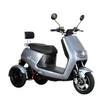 삼륜전기오토바이 세발 바이크 출퇴근 배달용 어르신, 상세 페이지 참고, E타입