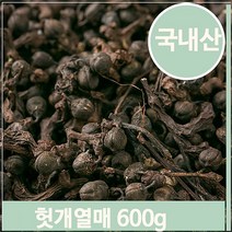 푸들 건조 헛개나무 열매 600g 지구자 말린 약재 영양 한방 (7564021), 기본