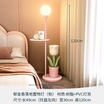 인테리어 장스탠드 미술관 조명 책상 형광등 키큰 스텐드 북유럽 거실등 30평대 50평대, 튤립 수납 플로어 램프 핑크