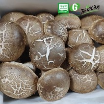 무농약 백화송이향 버섯 900g/실속형, 단품