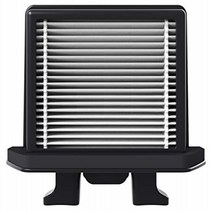 Raycop RN Replacement HEPA Filter - 2 Pack, 1