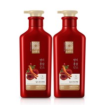 동의홍삼 영지홍삼 탈모린스 500ml, 2개
