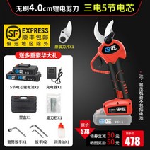 전동 전지가위 무선 충전 일본 현장 장인 전기 가위 과일 나무 충전식 리튬 배터리 원예 가지 치기, 4.0cm + 5노트 / 배터리 3개로