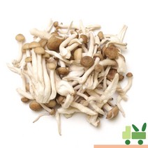 사라상회 만가닥버섯 2Kg (1봉) 갈색송이