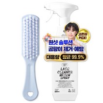무로 락클리너 초강력 곰팡이 스프레이 750ml + 청소솔, 1세트