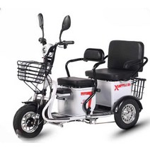 삼륜전기자전거 동반 3륜 배달 여성 애견, 상세 페이지 참고, 장거리러닝48V23A배터리(수명100마일)